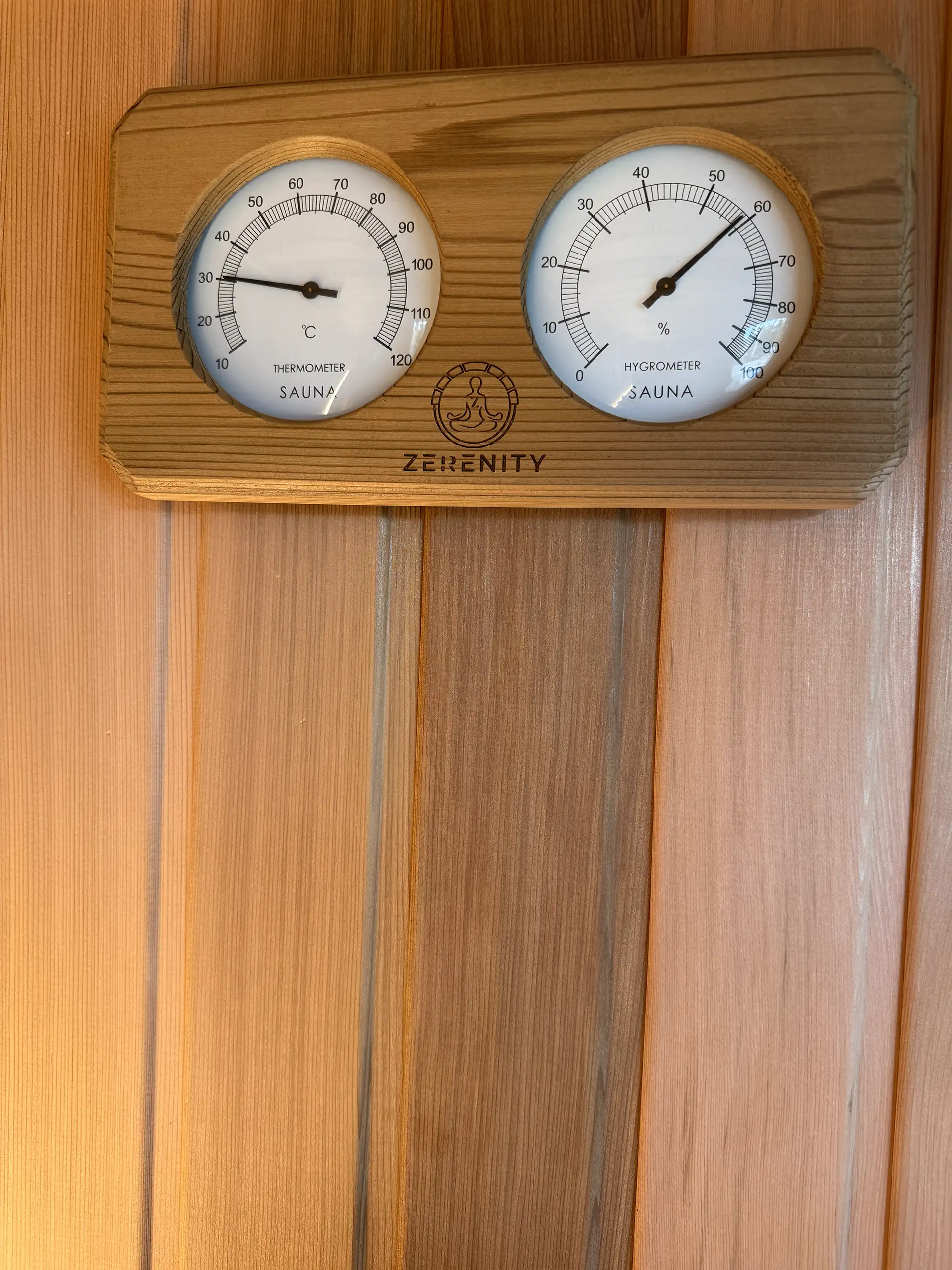 Thermometer & Hygrometer - 1